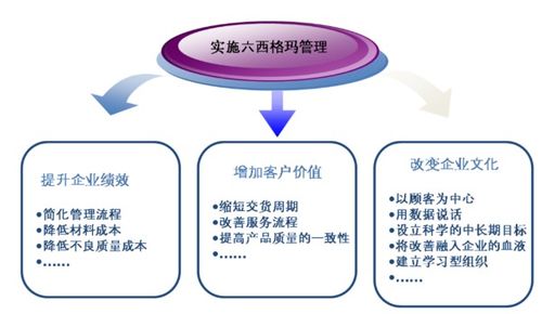 六西格瑪管理法 驅(qū)動(dòng)企業(yè)卓越的五步循環(huán)
